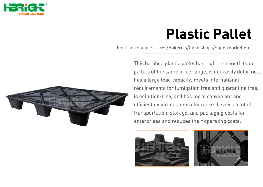 Palet de plastico1