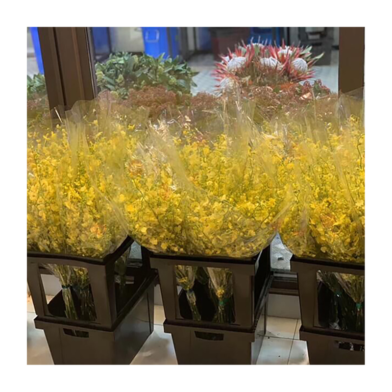 Caja de embalaje y presentación para flores cortadas.