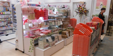 Proyecto de tienda marca Japan Cando 1800m2 dos pisos 2016