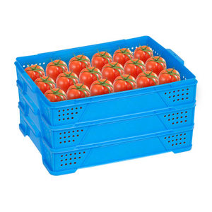 Caja de plástico para tomates u otras frutas