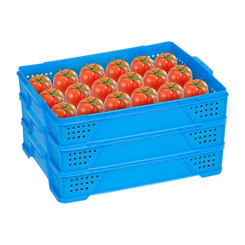 Caja de plástico para tomates u otras frutas