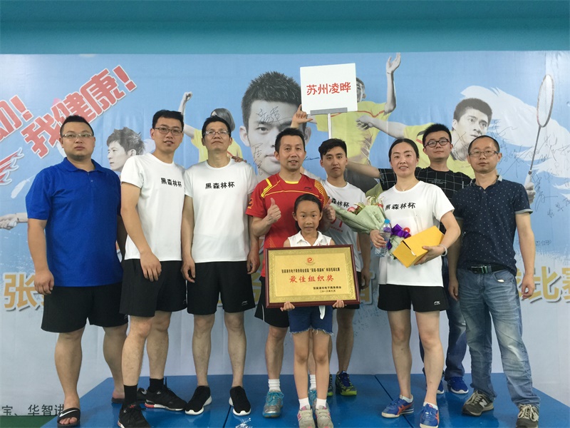 Juego de bádminton 2016