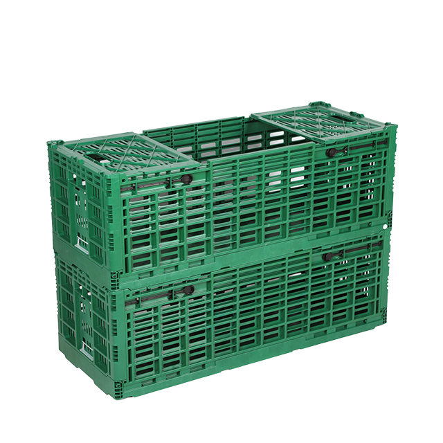 Cajas plegables de plástico para transporte en movimiento de flores recién cortadas