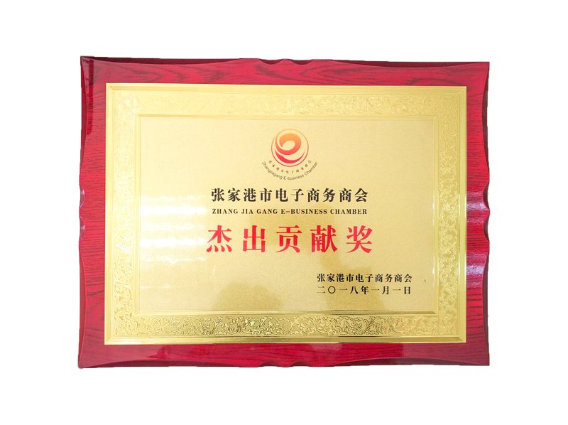 2018 CÁMARA DE E-BUSINESS ZHANG JIA GANG.jpg