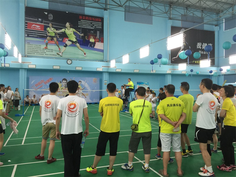 Juego de bádminton 01