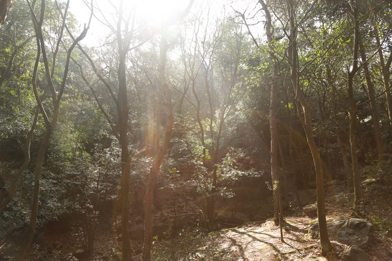 Montaña Yu (4)