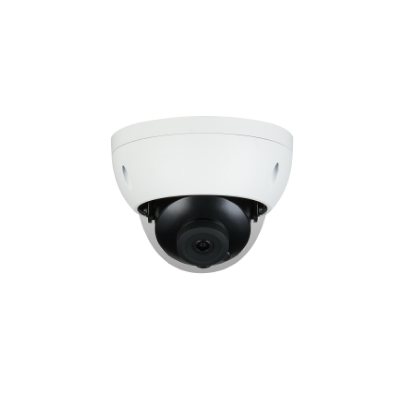 Cámara de red de hemisferio antidisturbios de enfoque fijo infrarrojo inteligente de 2MP