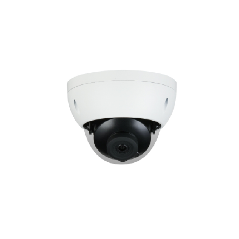 Cámara de red de hemisferio antidisturbios de enfoque fijo infrarrojo inteligente de 2MP