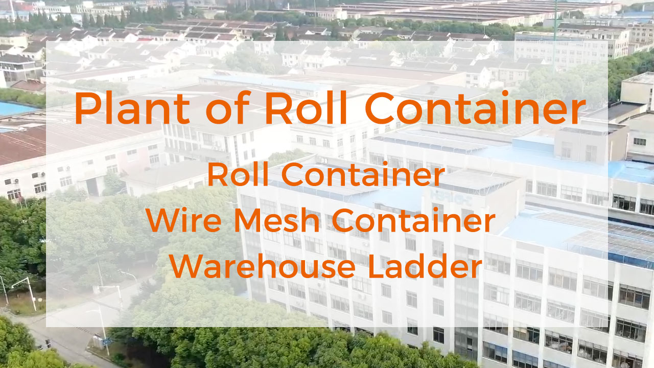 Planta de contenedor en rollo