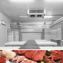 Cámara frigorífica 100CBM para carne congelada, pescado congelado