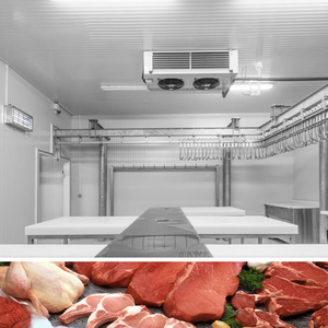 Cámara frigorífica 100CBM para carne congelada, pescado congelado