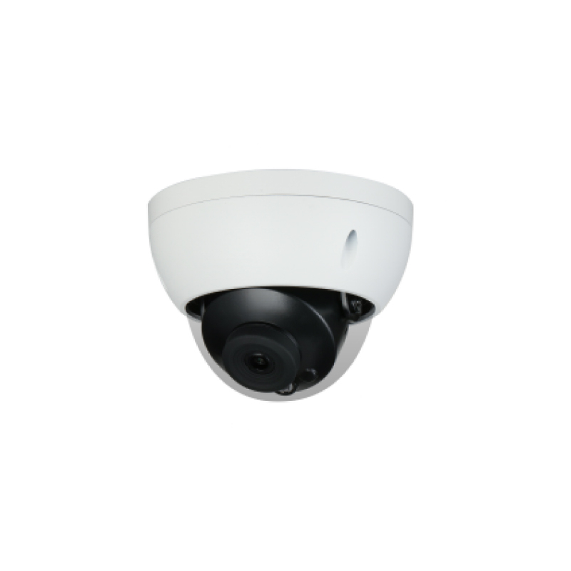 Cámara de red de hemisferio antidisturbios de enfoque fijo infrarrojo inteligente de 2MP