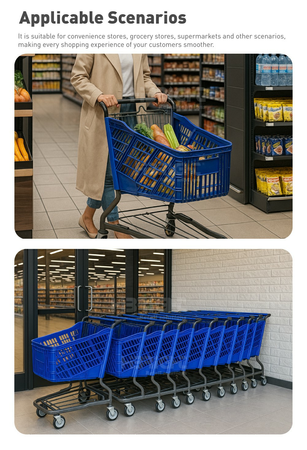 Carrito de compras4
