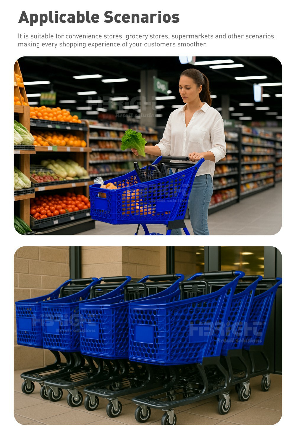Carrito de compras4