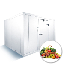 Cámara frigorífica de 100 CBM para frutas y verduras