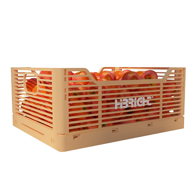 2022 Caja de plástico plegable de nuevo diseño con logotipo personalizado