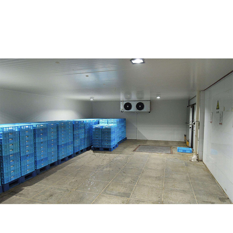 Cámara frigorífica de 30 CBM para frutas y verduras