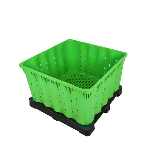 Caja de paletas de plástico apilable