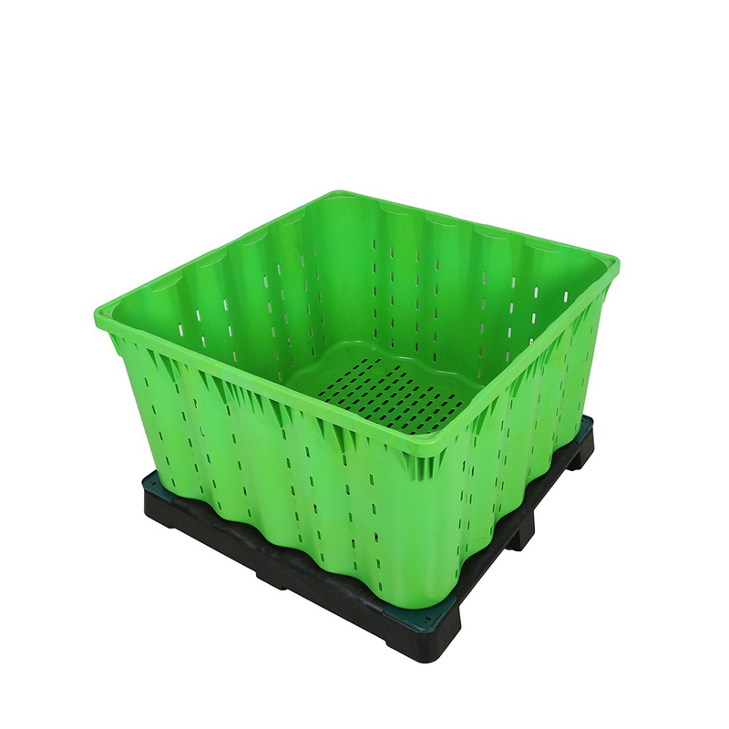 Caja de paletas de plástico apilable